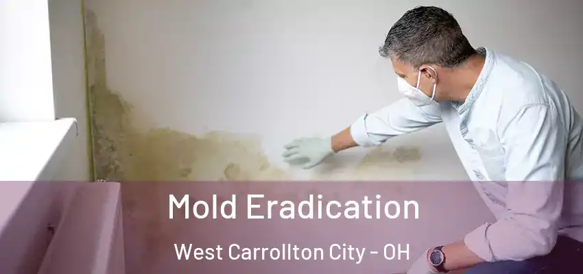 Mold Eradication West Carrollton City - OH
