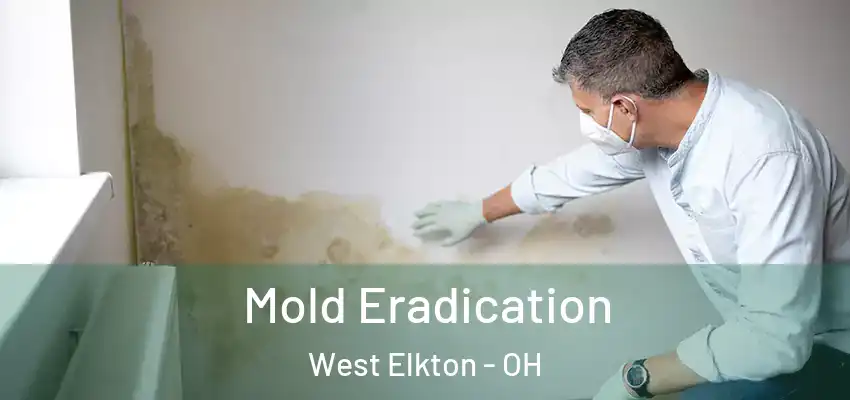 Mold Eradication West Elkton - OH