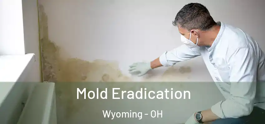 Mold Eradication Wyoming - OH