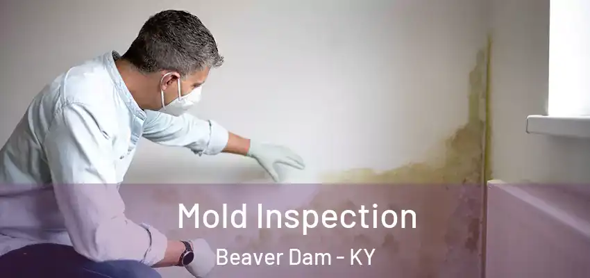  Mold Inspection Beaver Dam - KY
