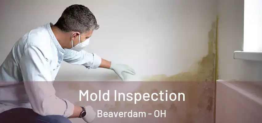  Mold Inspection Beaverdam - OH