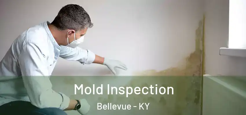  Mold Inspection Bellevue - KY