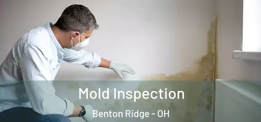  Mold Inspection Benton Ridge - OH