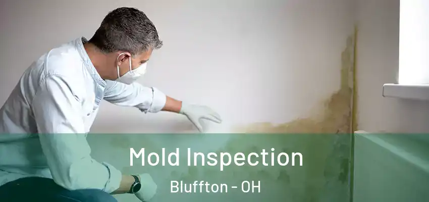  Mold Inspection Bluffton - OH
