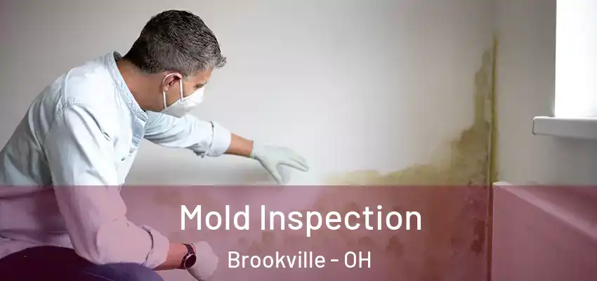  Mold Inspection Brookville - OH