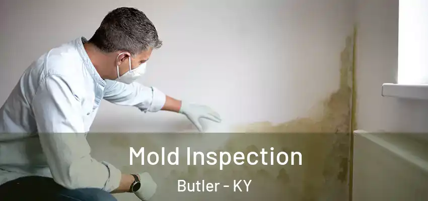  Mold Inspection Butler - KY