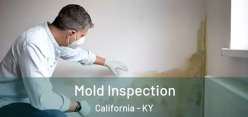  Mold Inspection California - KY