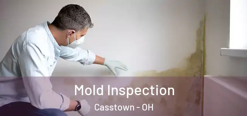  Mold Inspection Casstown - OH