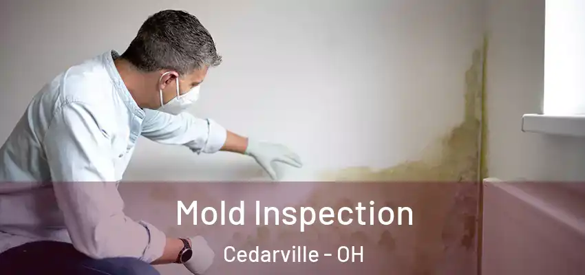  Mold Inspection Cedarville - OH