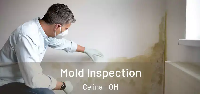  Mold Inspection Celina - OH