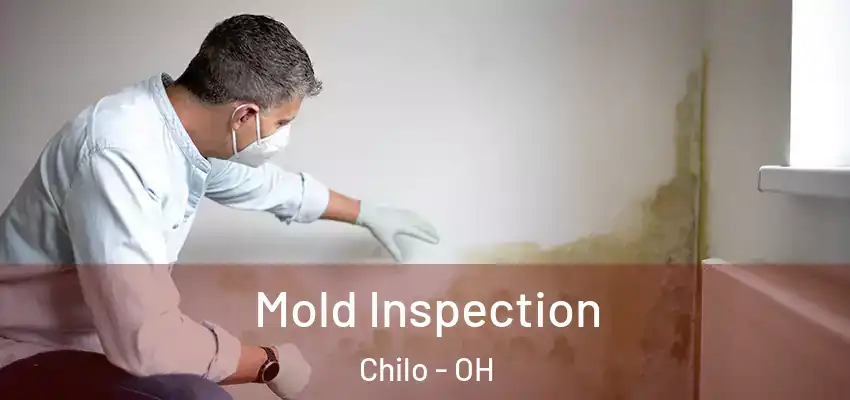  Mold Inspection Chilo - OH