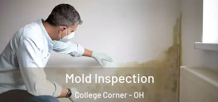 Mold Inspection College Corner - OH