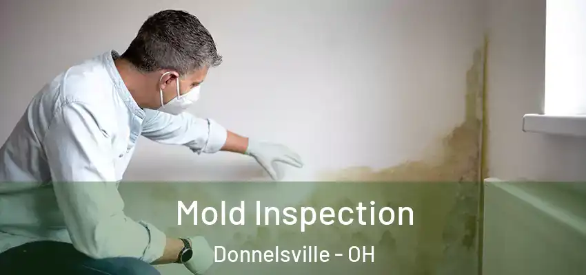  Mold Inspection Donnelsville - OH