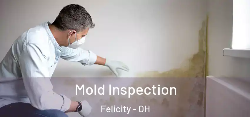  Mold Inspection Felicity - OH