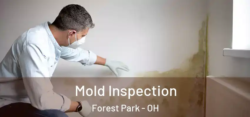  Mold Inspection Forest Park - OH