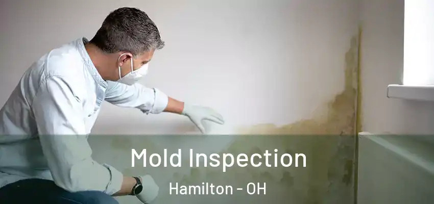 Mold Inspection Hamilton - OH