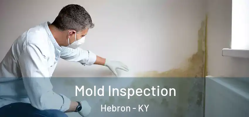  Mold Inspection Hebron - KY