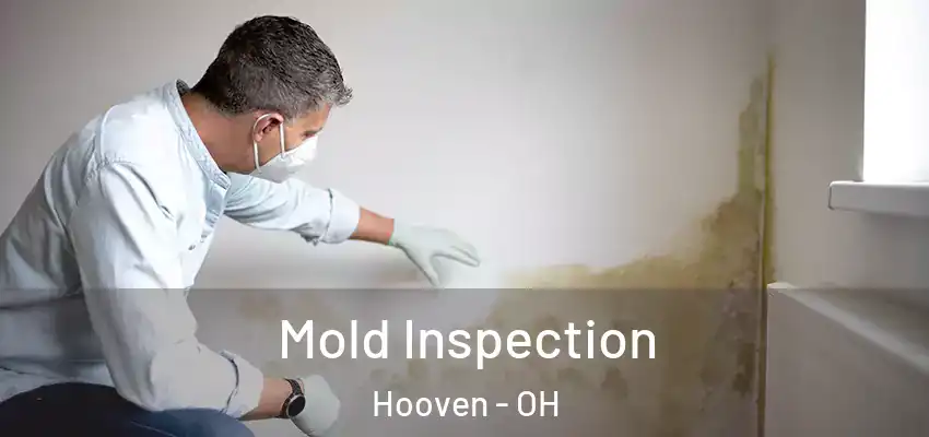  Mold Inspection Hooven - OH