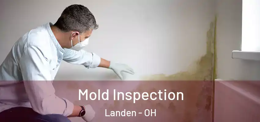  Mold Inspection Landen - OH