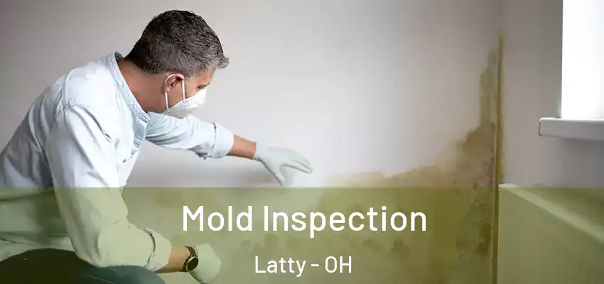  Mold Inspection Latty - OH