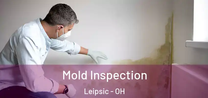 Mold Inspection Leipsic - OH