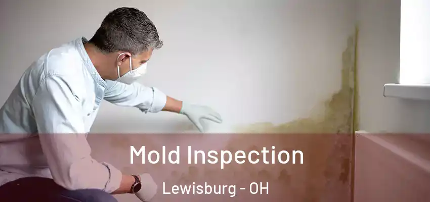  Mold Inspection Lewisburg - OH