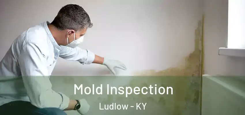  Mold Inspection Ludlow - KY