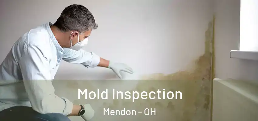  Mold Inspection Mendon - OH