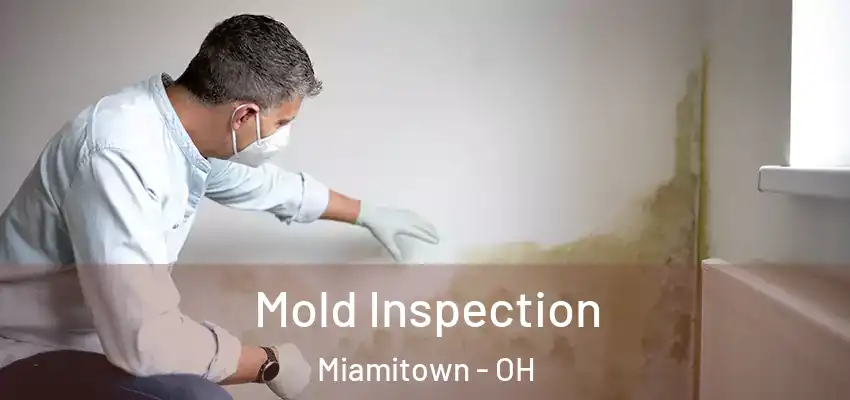  Mold Inspection Miamitown - OH