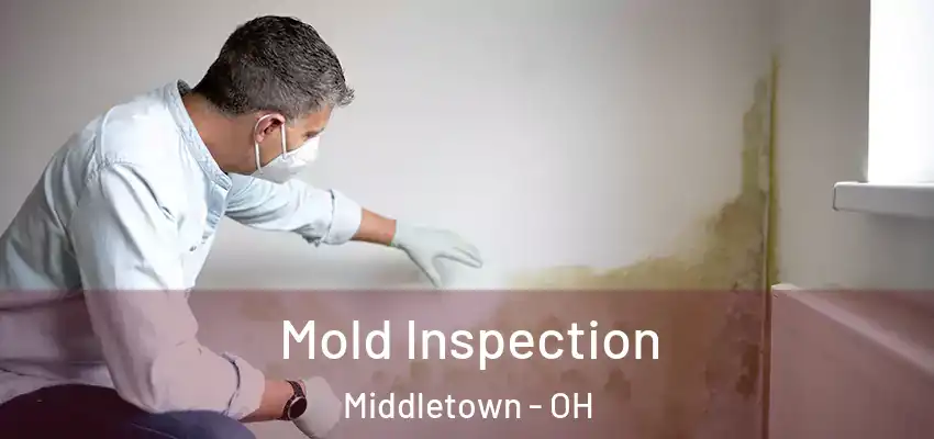  Mold Inspection Middletown - OH