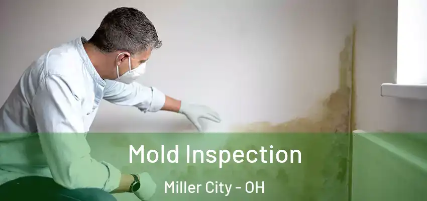  Mold Inspection Miller City - OH