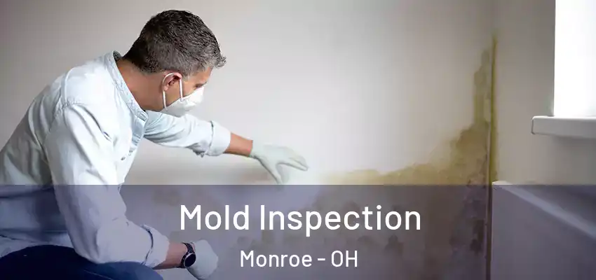 Mold Inspection Monroe - OH