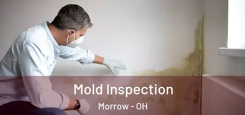  Mold Inspection Morrow - OH