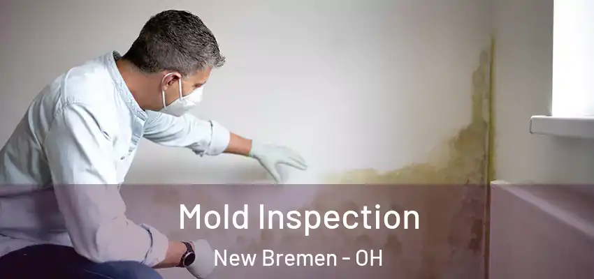  Mold Inspection New Bremen - OH