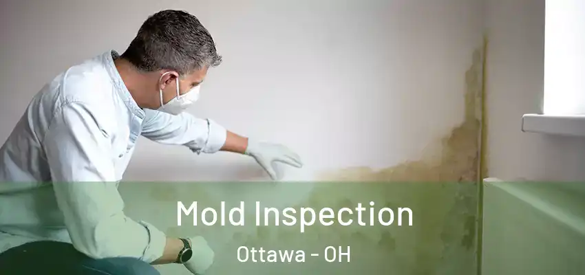  Mold Inspection Ottawa - OH