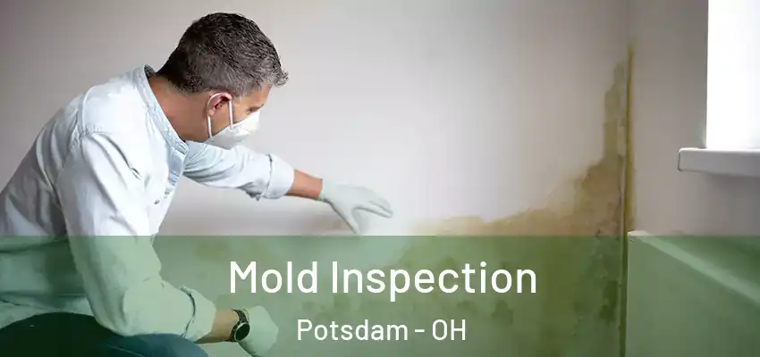  Mold Inspection Potsdam - OH