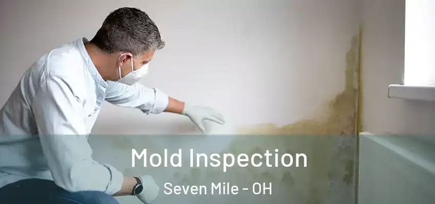Mold Inspection Seven Mile - OH