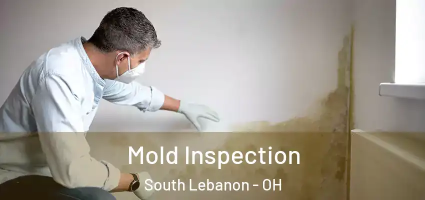  Mold Inspection South Lebanon - OH