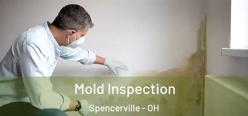  Mold Inspection Spencerville - OH