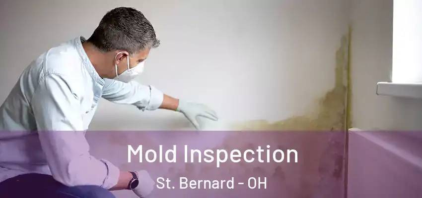  Mold Inspection St. Bernard - OH
