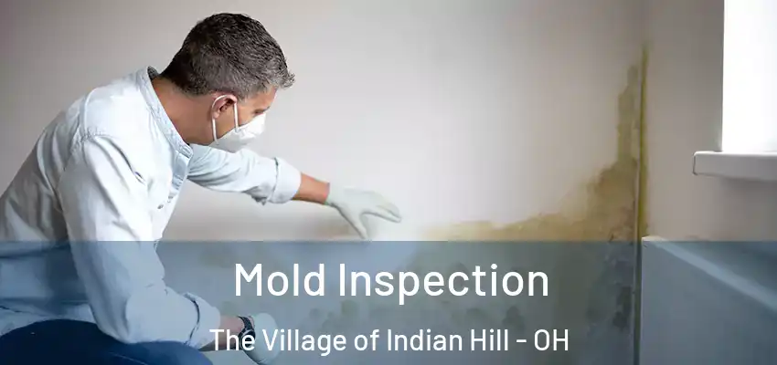  Mold Inspection The Village of Indian Hill - OH
