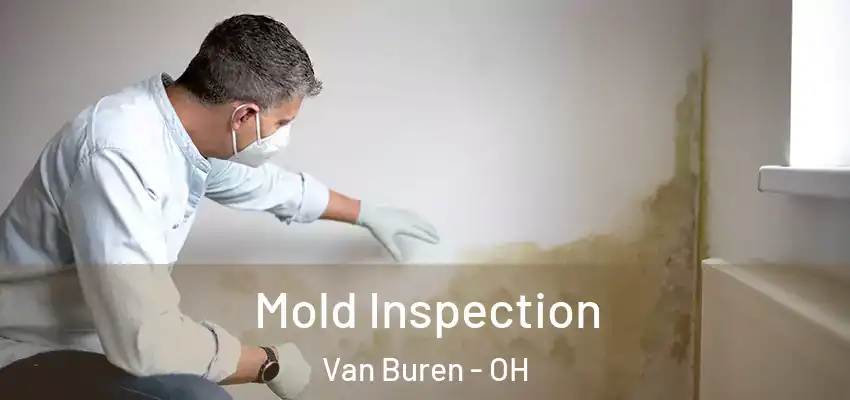  Mold Inspection Van Buren - OH