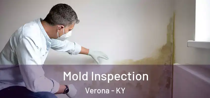  Mold Inspection Verona - KY