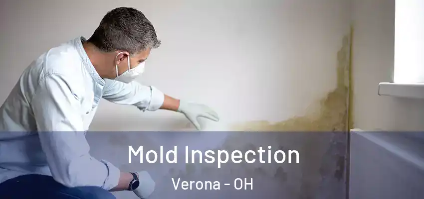  Mold Inspection Verona - OH
