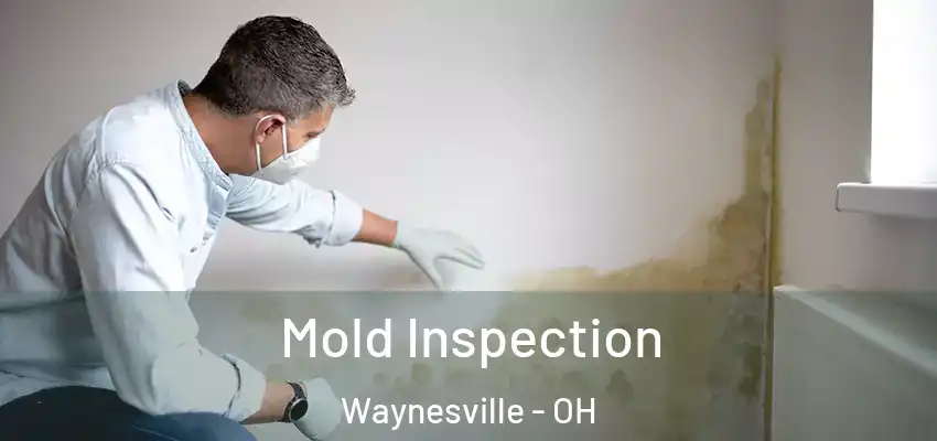  Mold Inspection Waynesville - OH