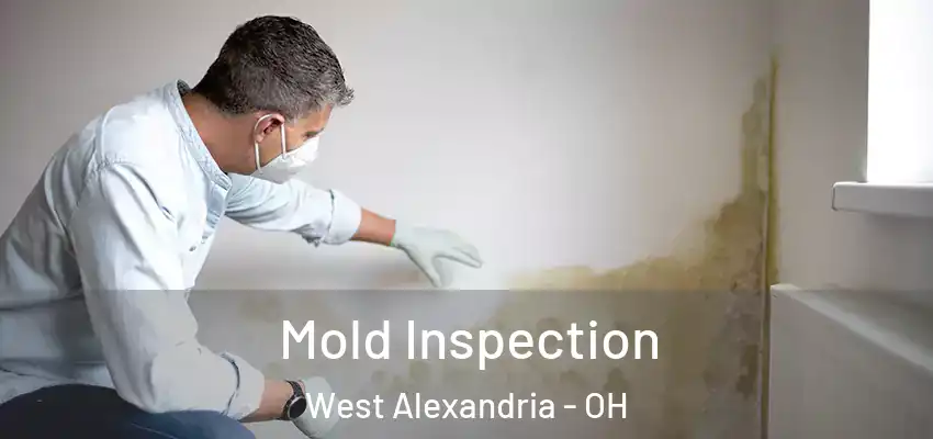Mold Inspection West Alexandria - OH