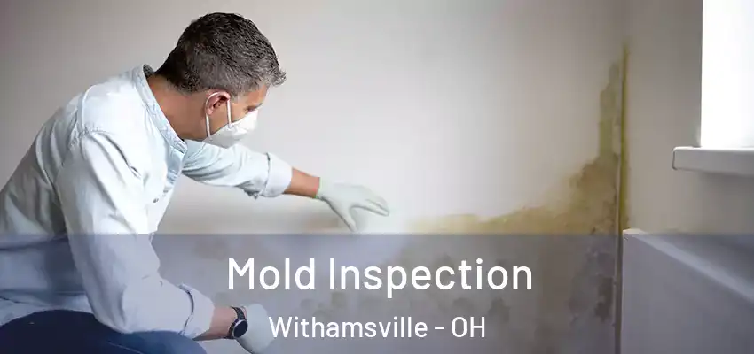  Mold Inspection Withamsville - OH