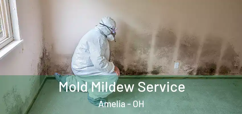 Mold Mildew Service Amelia - OH
