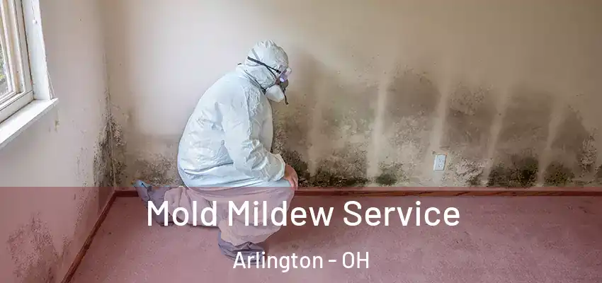  Mold Mildew Service Arlington - OH