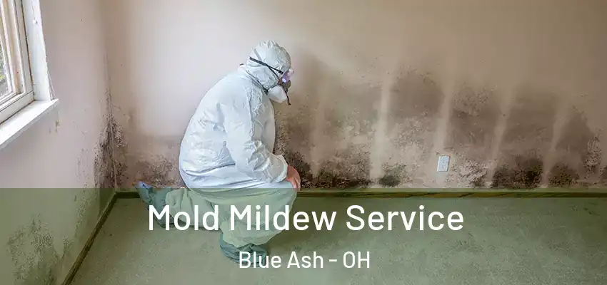  Mold Mildew Service Blue Ash - OH